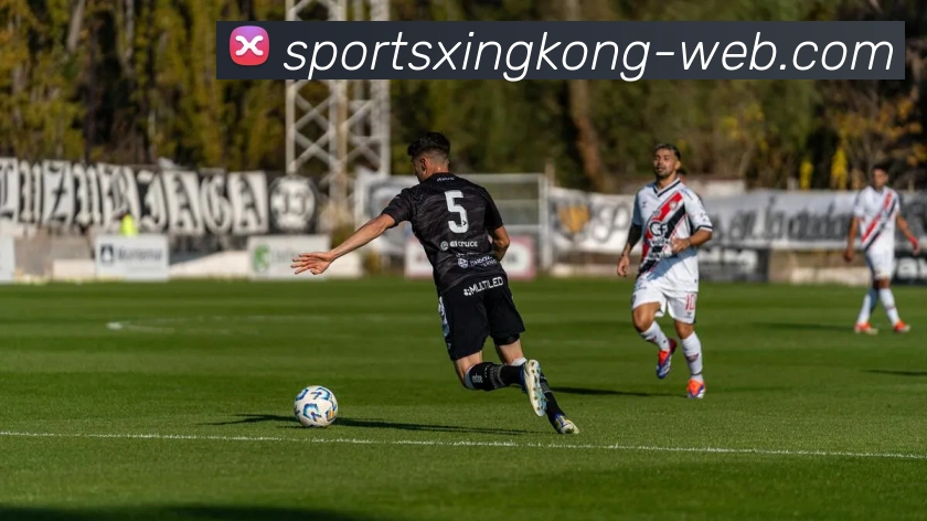 星空体育平台生态图